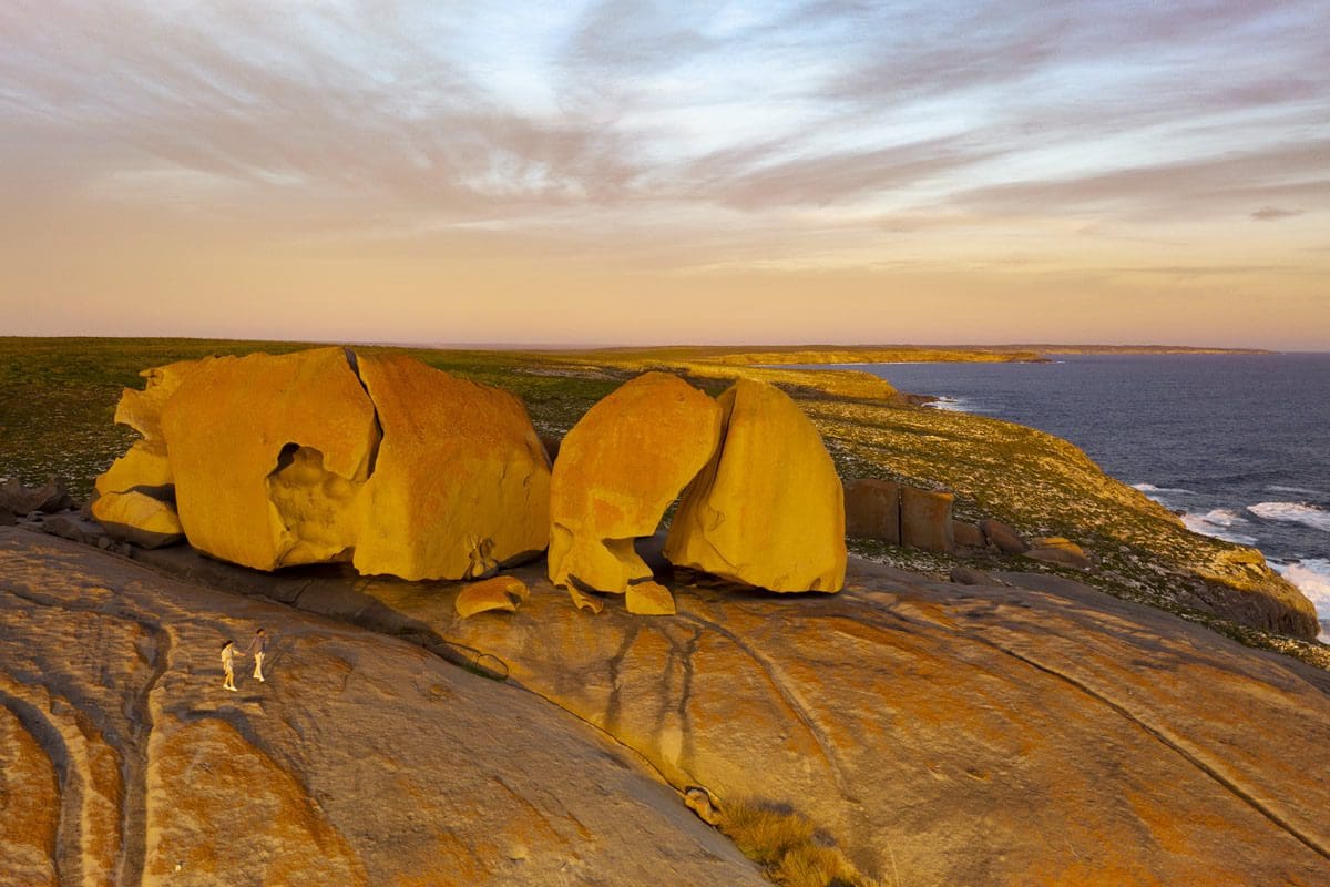 odyssey tours kangaroo island