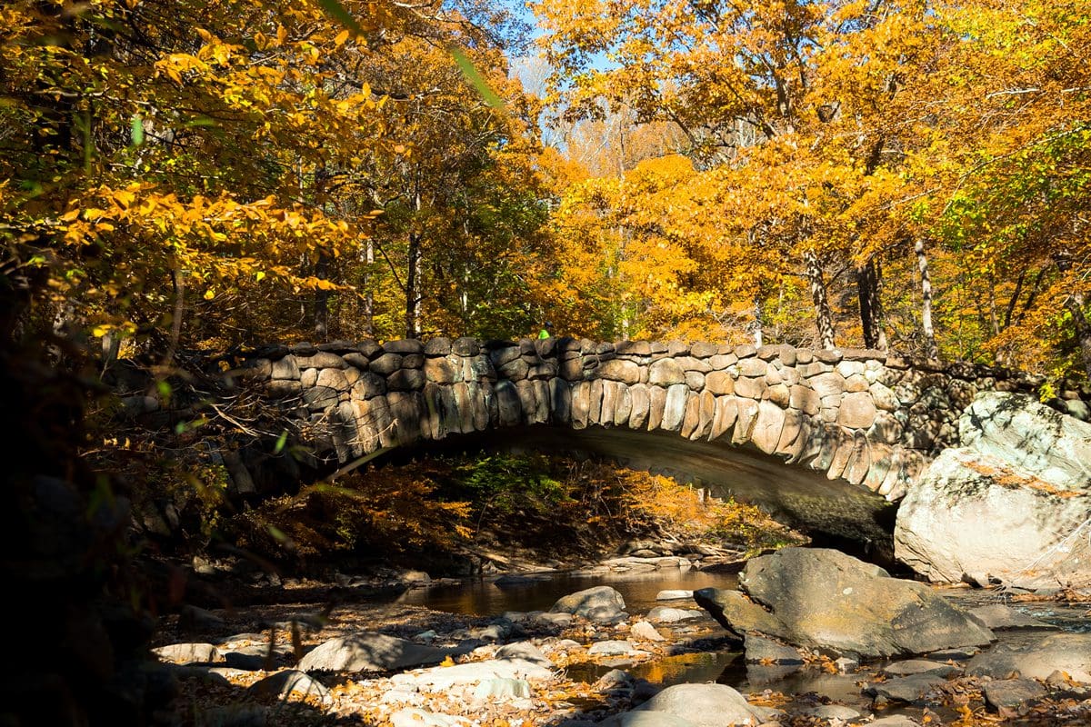 Rock Creek Park - washington.org