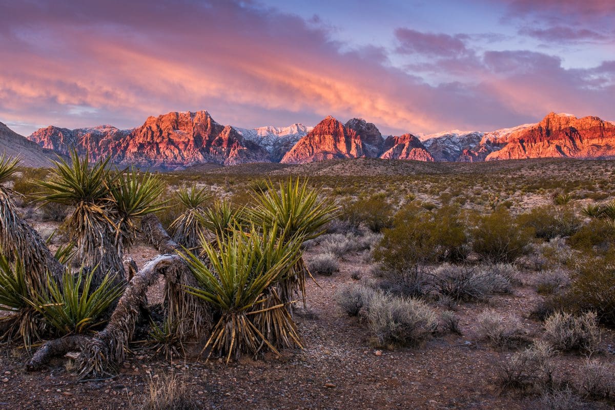 Sunrise over Red Rock Canyon, Nevada