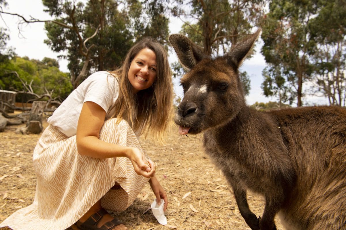 Wildlife experiences on Kangaroo Island - Tourism Australia