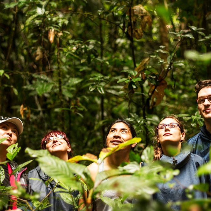 Group exploring the Equadorian jungle