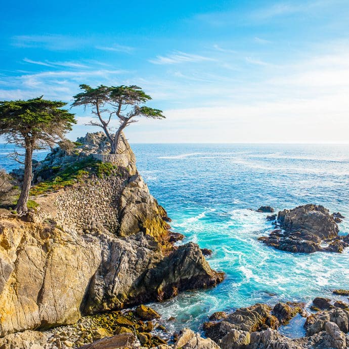 The Lone Cypress, Big Sur, viewed from 17 Mile Drive, California The Lone Cypress, Big Sur, viewed from 17 Mile Drive, California
