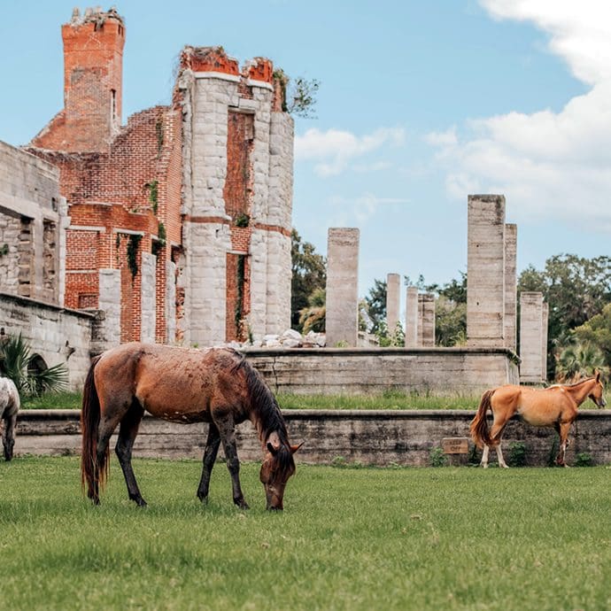 Cumberland Island Dungeness ruins and wild horses - Explore Georgia Cumberland Island Dungeness ruins and wild horses - Explore Georgia
