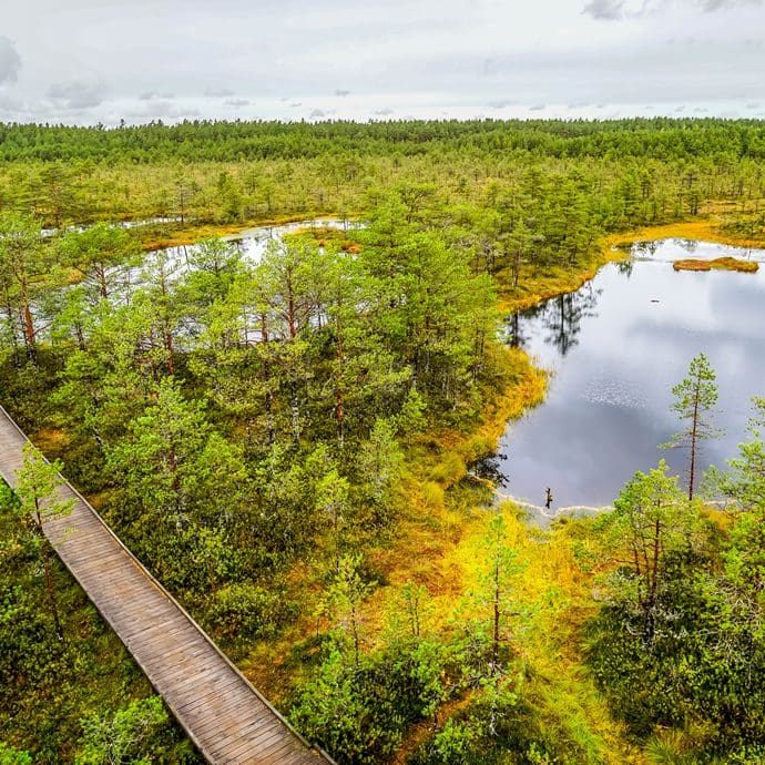 Lahemaa National Park In Estonia