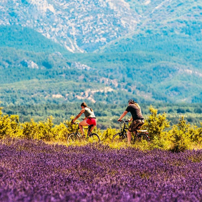 Cycling in Provence - editorial only Cycling in Provence - editorial only