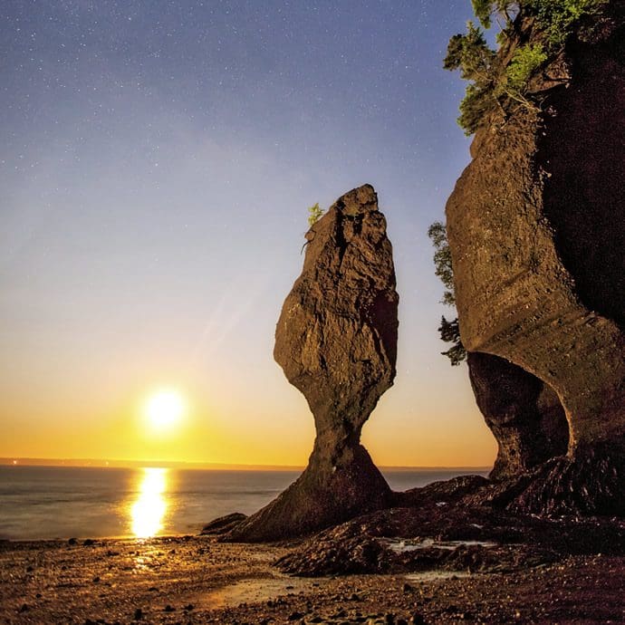 Whale breaching - New Brunswick Tourism/Jon Billings
