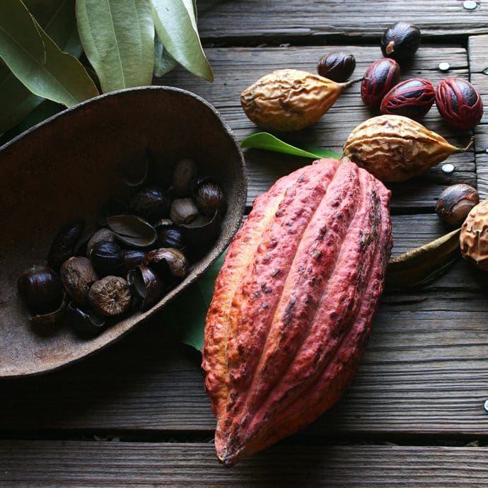 Cacao and nutmeg