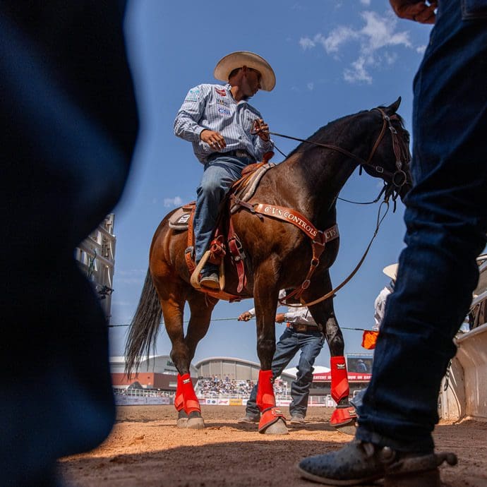 Rider - Calgary Stampede/Jesse Brown