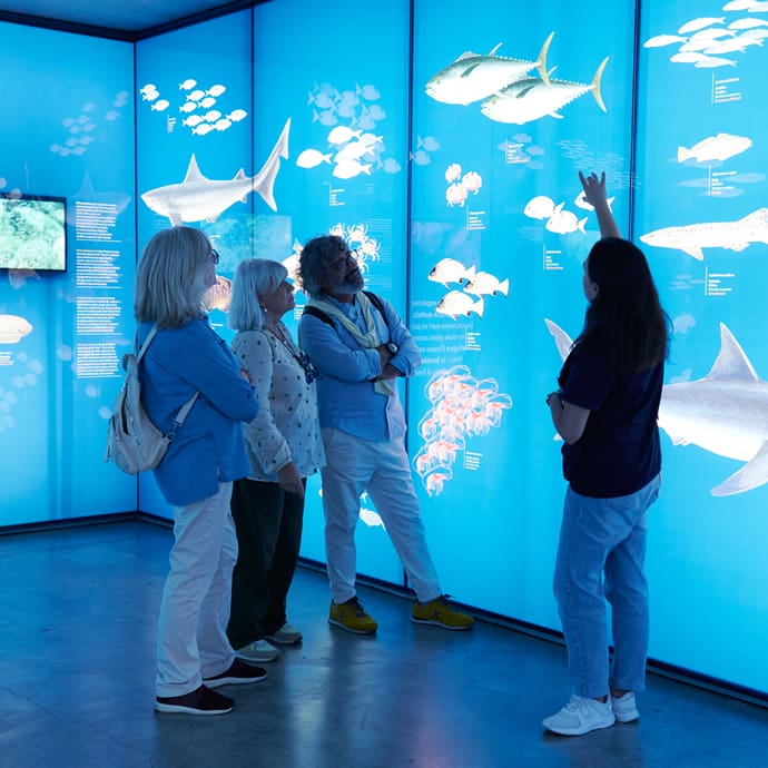 The Fishing Museum, Palamos - Costa Brava PTCBG/Diego Espada/Arxiu Imatges The Fishing Museum, Palamos - Costa Brava PTCBG/Diego Espada/Arxiu Imatges