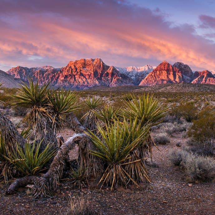 Sunrise over Red Rock Canyon, Nevada