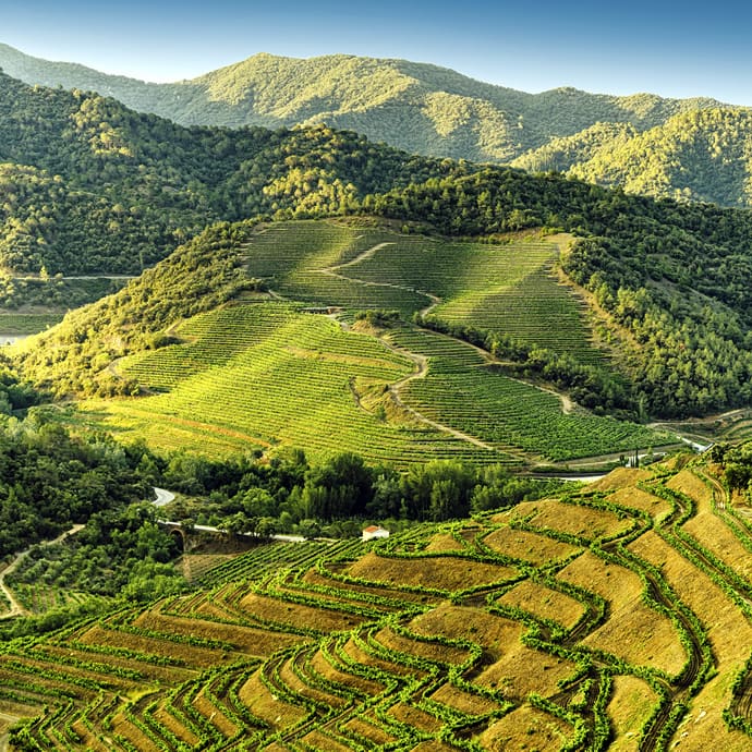 Terraced vineyards in the Priorat wine region - Catalan Tourist Board/Alvaro Sanz