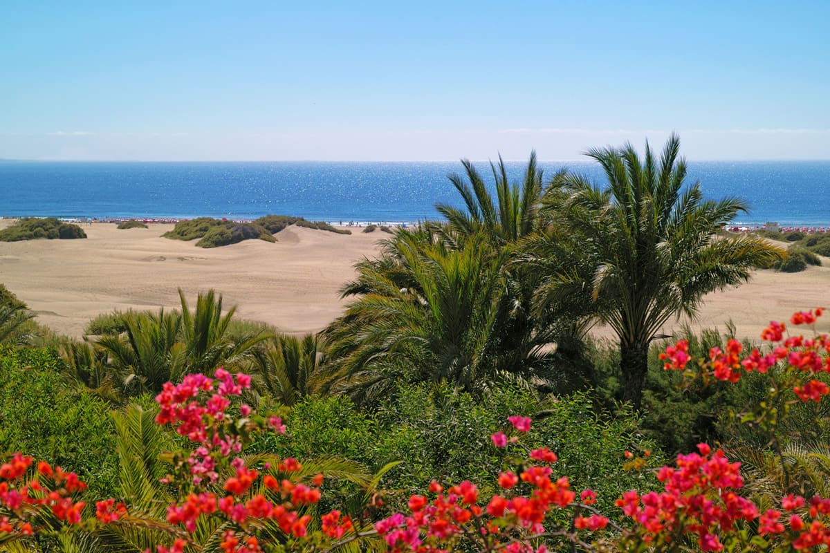 Maspalomas dunes – Turismo de Gran Canaria