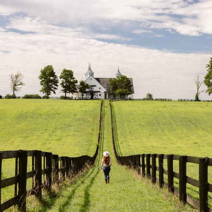 Manchester Farm, a well-known thoroughbred horse nursery located just outside Lexington, Kentucky - Kentucky Tourism