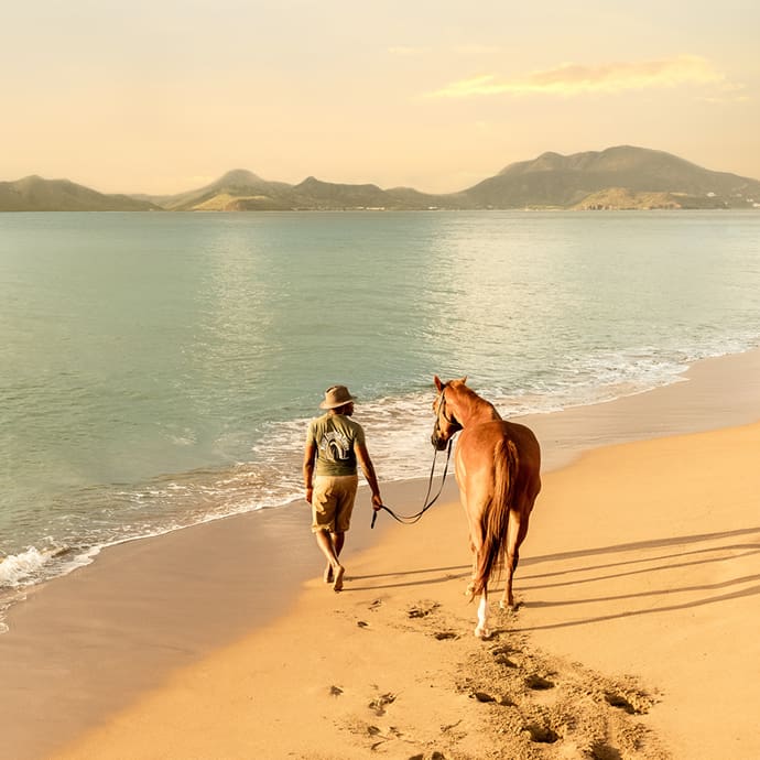 Horse riding on the beach in Nevis – Nevis Tourist Board/Lisa Howell